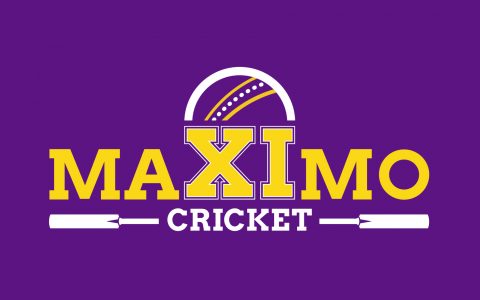 Cricket organisation logo