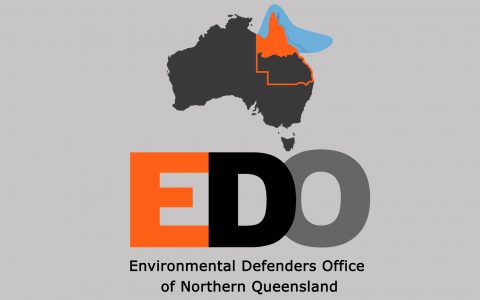EDO Logo