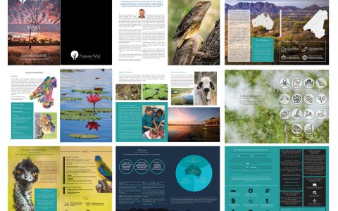 Forever Wild Annual Report