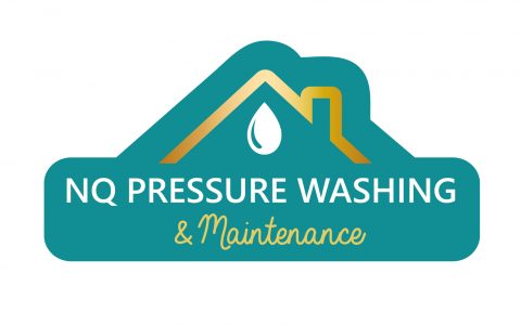 Pressure Washing logo